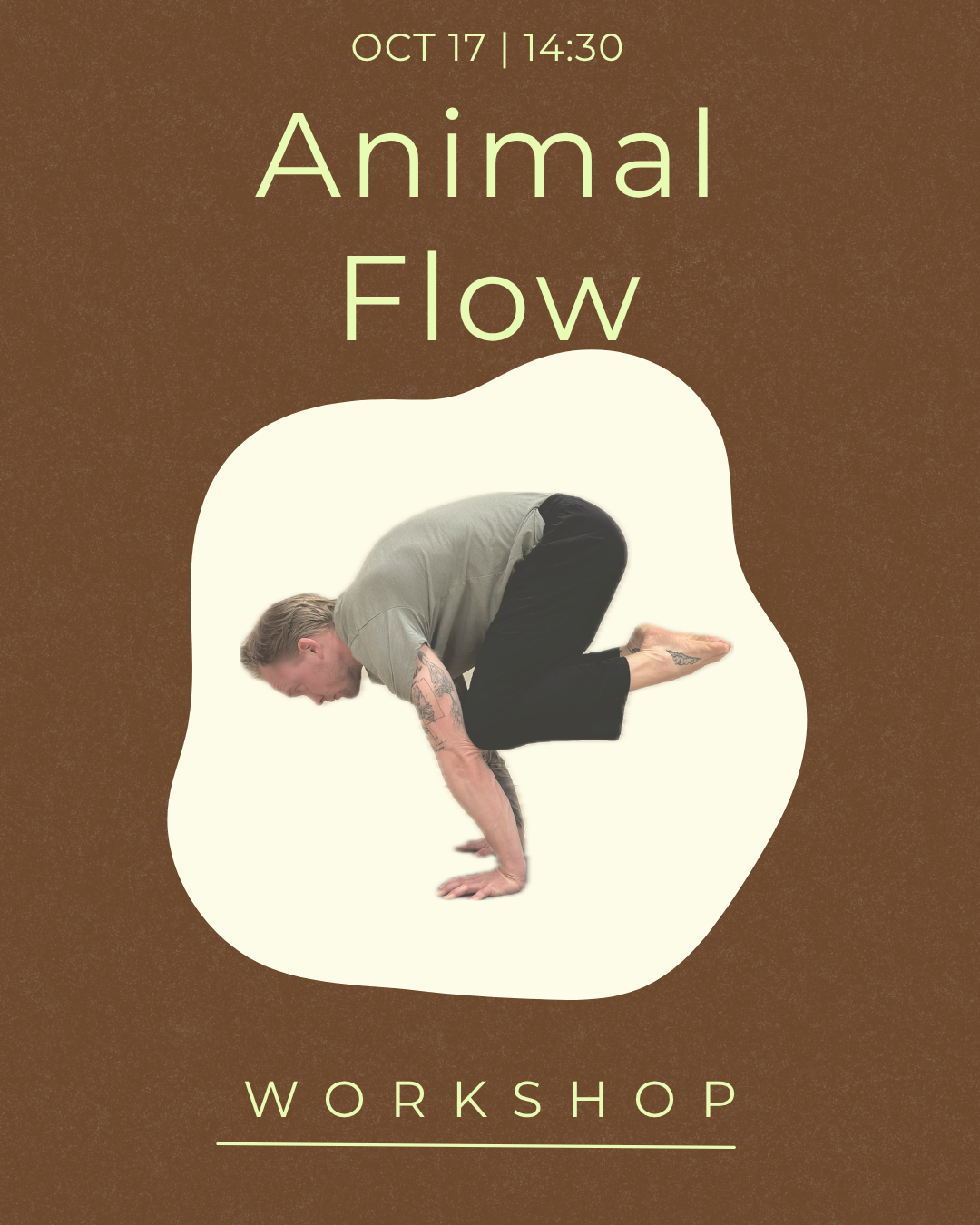 Animal Flow